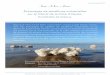 Échouages de paraffnes industrielles sur le littoral de la Côte …sea-mer.org/wp-content/uploads/2017/11/Echouages-de... · 2017. 11. 12. · Sur le site grandviewresearch.com