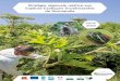 Coraline DOMINGUEScen-normandie.fr/sites/default/files/fichiers/...La stratégie régionale relative aux espèces exotiques envahissantes 2018-2022 est la suite logique de la stratégie