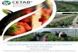 Rapport d’enquête sur le secteur québécois des fraises et … · Rappot d’enuête su le seteu québécois des fraises et framboises biologiques i Rappot d’enuête su le seteu