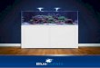 Concept Blue - Aquadistri€¦ · 2 Concept Blue marine : Nous proposons aux amateurs une expérience passionnante dans le monde de l’aquarium marin. Notre but est de vous fournir