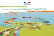 20161220 Rapport SNTEDD - guadeloupe.developpement-durable ... · Rapport 2016 de mise en œuvre de la SNTEDD 3 La Stratégie nationale de transition écologique vers un développement