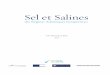 Sel et Salines - AMRSmaeds.amrs.pt/informacao/PUBLICACOES/2017/sel.pdf · 2019. 12. 26. · Écomusée du marais salant, Loix, île de Ré (France) Hamburger Kunsthalle, Hambourg