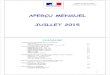 APERÇU MENSUEL JUILLET 2015 - Internet des Services de l ... · APERÇU MENSUEL JUILLET 2015 DIRECCTE Midi-Pyrénées Unité Territoriale de l’Aveyron 2 SOMMAIRE • Données générales