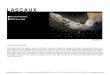 LASCAUX - 2018. 10. 11.¢  LASCAUX - Planche 3 '   Grotte de Lascaux II au solstice d¢â‚¬â„¢£©t£©,