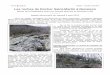 Les roches de Rocher Saint-Martin à Renaisonterre.nat.speleo.free.fr/archives/Rocher stmartin.pdf · Renaison et de Saint-André-d’Apchon, les sommets des Bonnévaux. Comme sur