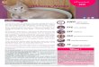 e semestre Minou News - Stérilisation de chats errants€¦ · de chats errants pour leur stérilisation, accueil de chats et cha-tons afin de les socialiser et leur trouver un foyer,