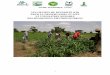 LES CHAMPS DE DIVERSITÉ (CD) POUR LA CONSERVATION IN … · (PDR-San) RESUME/ABSTRACT La sécurité alimentaire des zones semi-arides d’Afrique sub-saharienne est fortement liée