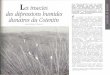 Accueil | INRAE INSTIT - L dunaires du Cotentin · d'Euproctis chl'ysorrhaea 1. sur Ronce, Aubépine ou Argousier. Les chenilles du Cul-brun sont toute fois plus fréquentes dans