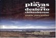 Las playas del desierto chihuahuense (parte mexicana) : …mapimi-uved.univ-tlse2.fr/02/docs/01/02_010035079_mapimi_playas.pdf · El libro acerca de la playas del desierto chihuahuense