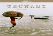 TSUNAMI - dans les pays touch£©s par le tsunami, essentiellement en Indon£©sie, au Sri Lanka, en Inde