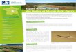 Département Région Puy de Dôme des Buttes et Marais de ......Le plan de gestion 2013-2017 de l’ENS prévoit, entre autre, la restauration des ripisylves et des haies ainsi que