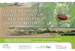 LEXIQUE - Pays de la Loire · • Agrifaune - ﬁ ches sur les couverts végétaux, la haie… • Arbres et paysages (publications et actions de l’association Arbre et paysage