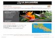 Costa Rica Une nature volcanique - La Balaguère€¦ · Journée dédiée à la découverte de la capitale surnommée affectueusement Chepe par ses habitants. Poursuite par la visite