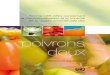 Norme CEE-ONU concernant la commercialisation et le contrôle … · 2010. 10. 19. · Brochure explicative CEE-ONU de la norme relative aux poivrons doux - Exempts d’attaques de