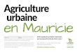 Agriculture urbaine en Mauricie - La Brouette...Dans le but de dresser un portrait de l’agriculture urbaine en Mauricie, l’équipe de La Brouette, en partenariat avec le MAPAQ,