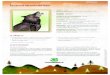 La carta d’identità del lupo - Legambiente · usati per difendere gli animali domestici dai predatori, Stamperia Romana srl - Industria Grafica AzzeroCO2 per il 2012 su carta ecologica