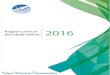 Instance Nationale des Télécommunications Année 2016 Annuel - 2016-1.pdf · 2017. 5. 19. · MVNO & FSI) a augmenté de 6,2% au cours de l’année 2016 par rapport à l’année