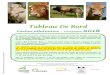 Tableau De Bord - Chambre d'Agriculture · Tableau De Bord Vaches allaitantes - Campagne 2018 Ce document reprend les données du tableau de bord concernant les élevages ayant plus
