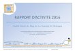 RAPPORT D’ACTIVITE 2016centresocial-laguerche.fr/wp-content/uploads/2015/08...RAPPORT D’ACTIVITE 2016 Centre Social du Pays de La Guerche de Bretagne 23 bis avenue du Général