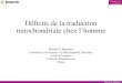 Déficits de la traduction mitochondriale chez l’hommemeetochondrie.fr/meetochondrie/IMG/pdf/metodi... · TACO1 LRPPRC C12ORF62 Leigh syndrome Leigh syndrome neonatal lactic acidosis
