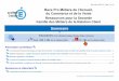 Sommairegilleshennequin.free.fr/docressource2ndMRC.pdf · 2. de calquer sur ces réalités les actions de communication, de distribution et d’interactivité de l’entreprise, vis-à-vis