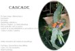 New Cascade - Overblogddata.over-blog.com/1/38/81/14/art-floral/cascade.pdf · 2019. 9. 19. · Cascade Cette composition est linéaire et asymétrique. Technique : ligne de fleurs