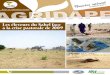 Les éleveurs du Sahel face à la crise pastorale de 2009 · recherche sur la crise pastorale survenue au Sahel en 2009/2010. La problématique pastorale en Afrique de l’Ouest a
