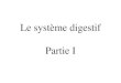 New Le système digestif Partie Iligueforma.free.fr/uploads/App Digestif I.pdf · 2009. 2. 26. · Nourriture et digestion1. Nourriture et digestion Le corps a besoin: • Matériaux