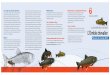 La diversité dans nos eaux L‘Omble chevalier · La Fédération Suisse de Pêche FSP planiﬁ e durant l‘année 2012 diverses actions, aﬁ n de donner à l‘Omble chevalier