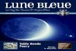 Le Mag des Païens d’Aujourd’hui - Lune Bleuedu Puits de Roses peuvent être travaillées avec la magie contemporaine. Au-delà des images très kitsch des fées telles qu’elles