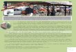Mijas Espagne - L'AQDER-Champlain (04)€¦ · est suggéré d’écouter d’abord sur You Tube : On the Road Again interprété par Willie Nelson, Rosa de Jacques Brel et La légende