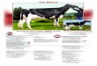 Vente Nationale - Cowsmopolitan Dairy Magazine ms:86(fa:7 rah:8 raw:6) f&l:86 ds:86 r:82 can-gebv apr*15