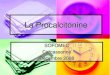 SOFOMEC Carcassonne Décembre 2008sofomec11.free.fr/Diapos/MISES AU POINT/3_la_procalcitonine.pdf · La PCT augmente précocemment, son dosage est fiable, reproductible, à coût