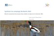 Synthèse du comptage Wetlands 2019...Synthèse du comptage Wetlands 2019 Bilan du recensement des oiseaux d'eau réalisés en Anjou les 12-13 janvier 2019 Sylvain Courant & Édouard