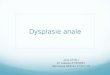 Dysplasie anale - Hepatoweb · Julia ATTALI Dr Isabelle ETIENNEY Séminaire DES du 17/01/14 . Anatomo-pathologie normale du canal et marge anale