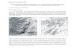 Sortie geologique Haut-Rhin - unistra.frassociation-philomathique.u-strasbg.fr/utilisateur... · la Forêt Noire appartiennent à une structure géologique majeure : le rift rhénan