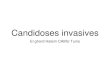 Candidoses invasives · 2020. 2. 16. · Facteurs Généraux • Souches responsables: • 20 souches pathogènes /2000 existante • candidoses invasives associées avec une grande