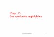 Chap. 2: Les molécules amphiphilesm2spae.free.fr/1. Septembre - Octobre/Elaboration de... · 2009. 9. 29. · •les tensioactifs ioniques anionique , cationique et zwitter ionique