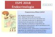 Endocrinologie - Freebhpicard.free.fr/Files/endocrinologie_1__espe_2018.pdf · 2019. 1. 10. · Endocrinologie 3 cours de 3h Programme officiel CAPET 3.4. Système endocrinien 3.4.1