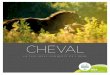 Cheval - Accueil | Conseil départemental de l'Orne€¦ · joue dans la cour des grands, qu’il s’agisse d’entraînement, d’élevage ou d’infrastructures, sans parler naturelle-ment