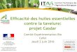 Efficacité des huiles essentielles contre la tavelure: projet Casdar · 2017. 6. 29. · Comité Régional Expérimentation Bio –2 juin 2016 - Cefel Recherche de moyens de protection