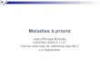 New Jean-Philippe Brandel INSERM UMR-S 1127 Cellule nationale de … · 2019. 11. 20. · ataxie, myoclonies, tremblement démence tardive " EEG non périodique " 14-3-3 positive