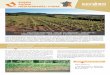 Bassin Rhône- méditerranée-corse5000 hectares de surface agricole convertis à la bio, et près de 70 communes engagées dans une démarche de réduction d’usage des pesticides