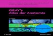 New GRAY’s Atlas der Anatomie · 2020. 6. 30. · Distales Femur und proximales Ende von Tibia und Fibula 284 Oberschenkel: Muskelansätze 285 Oberschenkel: ventrale oberflächliche