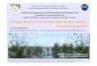 E. ... 2-3 Km y-1) sur laquelle s¢â‚¬â„¢implante la mangrove 70 % of des mangroves francaises 80% du littoral