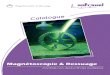 Magn£©toscopie & 2 Catalogue Magn£©toscopie et ressuage Aimants, £©lectro-aimants et g£©n£©rateurs magn£©toscopie