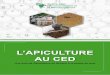 L’APICULTURE AU CED - CEDCAMEROUN · 2017. 1. 26. · l’Apiculture comme une Activitée Génératrice de Revenus (AGR) à la portée de tous, à l’occasion de la participation