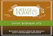 © SNI Éditions - Atelier des plantes · 2019. 11. 15. · 6 N’essayez pas de résoudre le problème avec du plantain, il n’agira pas assez vite. La deuxième manière d’appliquer