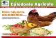La août 2008 Calédonie Agricole - formagri.nc 116 BR.… · Le magazine de la Chambre d’Agriculture 500 F n°116 - août 2008 Calédonie Agricole La Des signes de qualité . 
