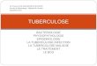 Dr Francine DE SALVADOR-GUILLOUËT Service d’infectiologie - ifsi du … · 2013. 9. 8. · Epidémiologie – en Europe En 2005, 426 717 cas de tuberculose ont été déclarés